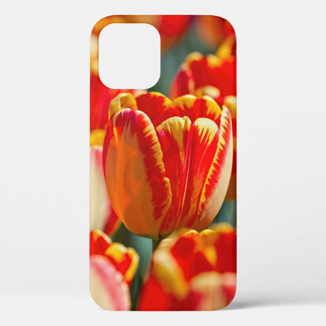 Brillante Farbtupfer Case-Mate iPhone Hülle (Rückseite)