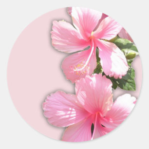 Brillante rosa hawaiianische Hibiskus-Blume Runder Aufkleber