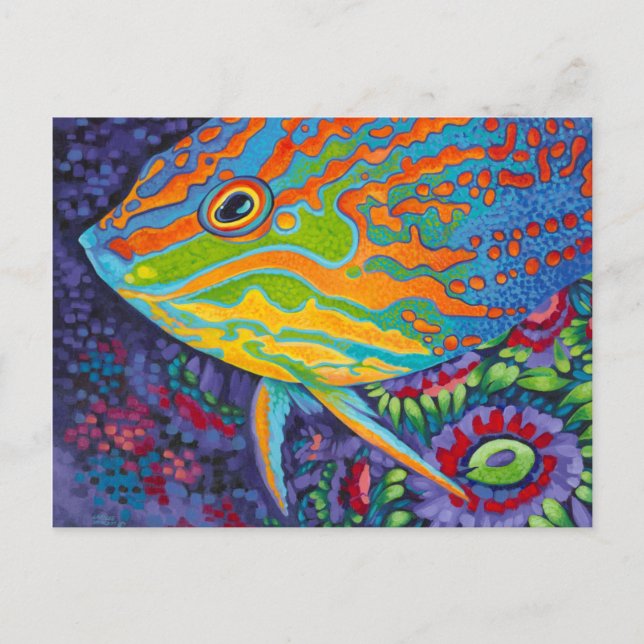 Brillante tropische Fische I Postkarte (Vorderseite)