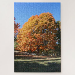 Brillanter Herbstbaum – Hubbell, Michigan