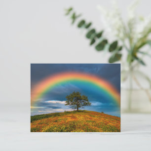 Brillanter Regenbogen über einer Wildblumenwiese   Postkarte