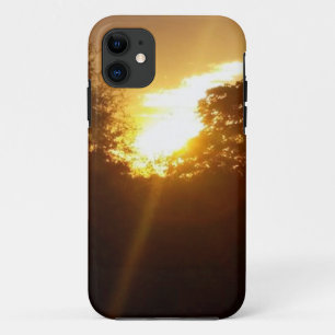 Brillanter Sonnenaufgang über den Bäumen title_seo2