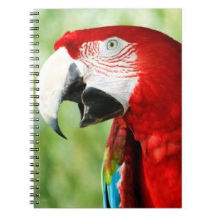 Brillantes Rot Notizblock