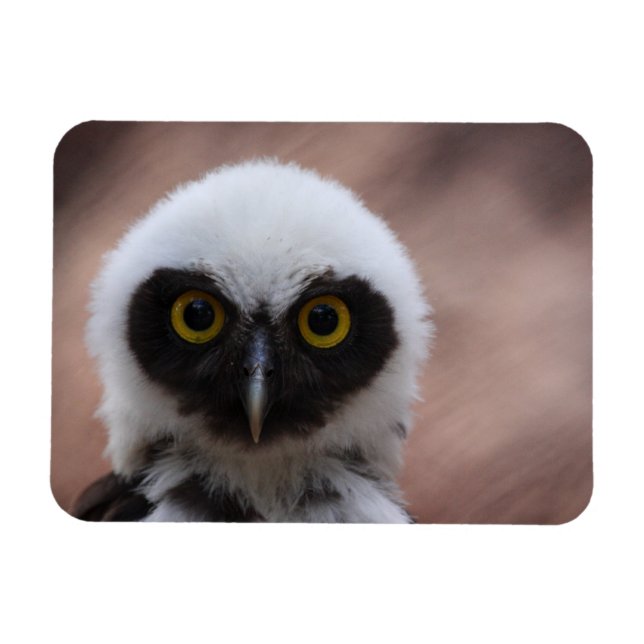 Brille Magnet (Horizontal)