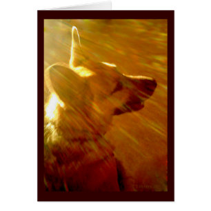 Brille Sur Moi Allemand Berger Sympathy Poem Card