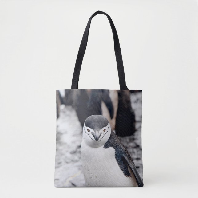 Brillenpinguin Tasche (Vorderseite)