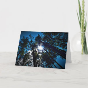 Briller par, carte