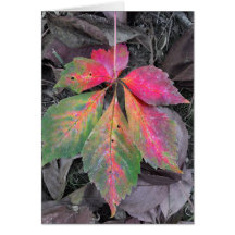Brilliance Among the Grey - Autumn Leaf