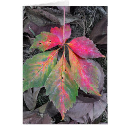 Brilliance Among the Grey - Autumn Leaf