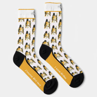Brilliant Baltimore Oriole Bird Socken