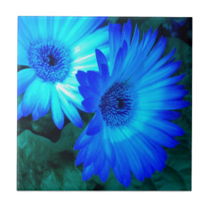 Brilliant Blue Daisies Tile Trivet Fliese