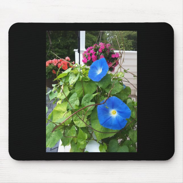 Brilliant Blue Morning Glories Mousepad (Vorne)