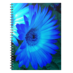 Brilliant Blue News Notebook Notizblock