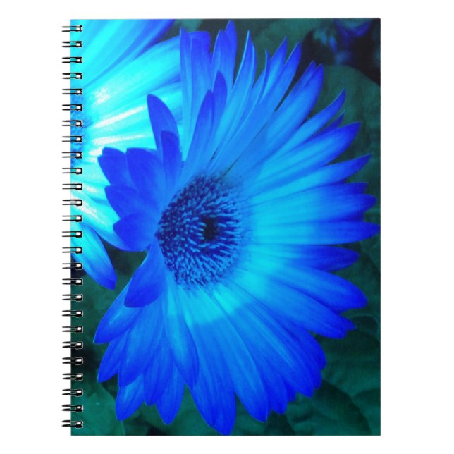 Brilliant Blue News Notebook Notizblock (Vorderseite)
