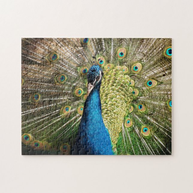 Brilliant Blue Peacock (Horizontal)