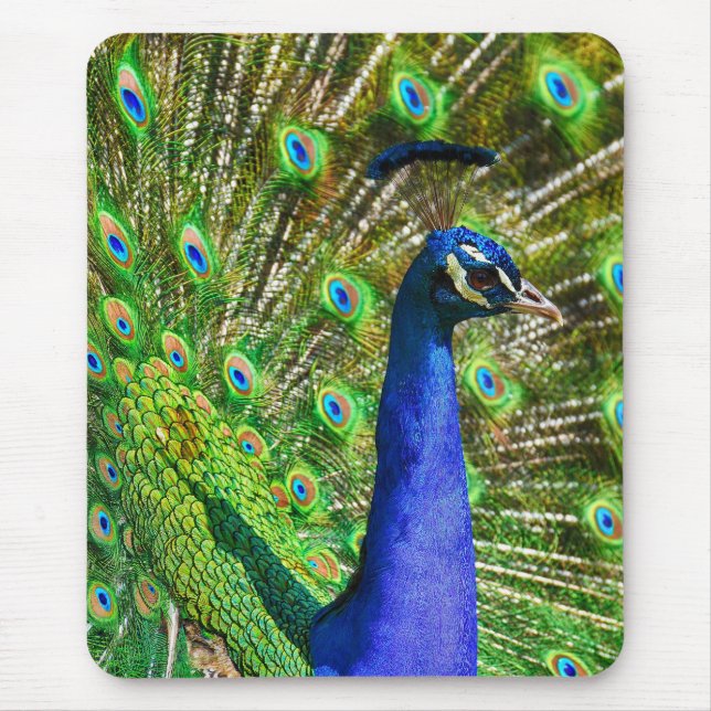 Brilliant Blue Peacock Mousepad (Vorne)