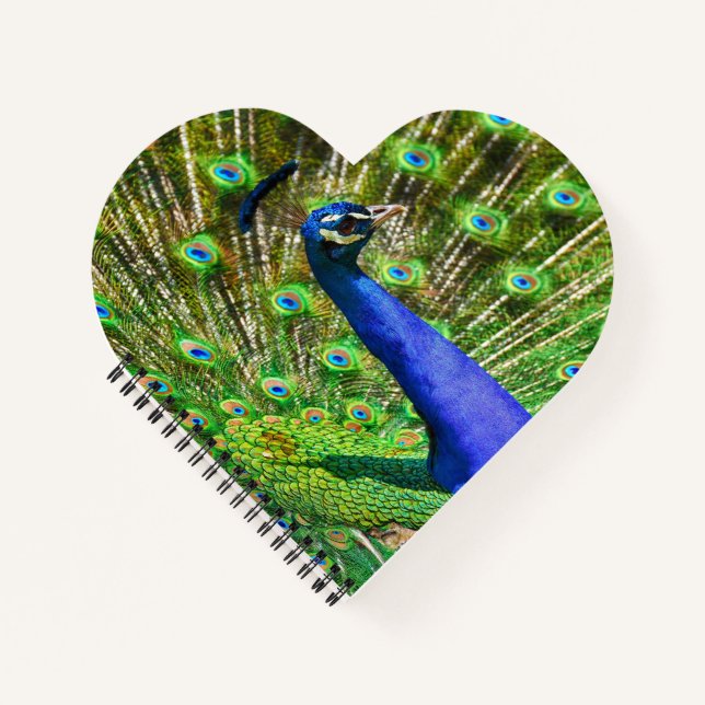 Brilliant Blue Peacock Notizbuch (Vorderseite)