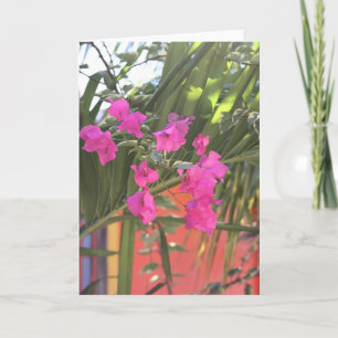 Brilliant Bougainvillea Karte