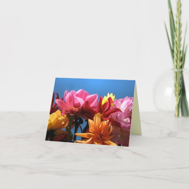 Brilliant Dahlias Vielen Dank Dankeskarte (Vorderseite)