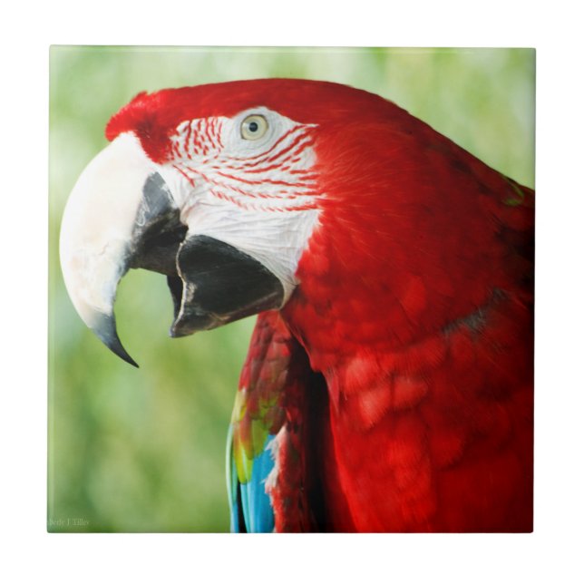 Brilliant Red Fliese (Vorderseite)