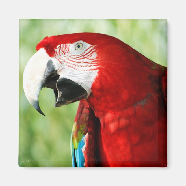 Brilliant Red Magnet (Vorne)
