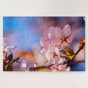 Brilliant Sakura-Blüten