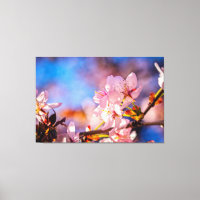Brilliant Sakura-Blüten