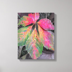 Brillianz unter Grau - Herbstleaf Leinwanddruck