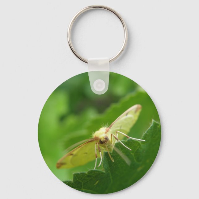 Brimstone Moth Schlüsselanhänger (Vorderseite)