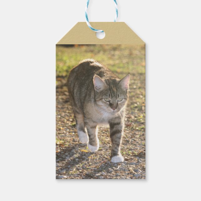 Brin Geschenkanhänger (Vorderseite)
