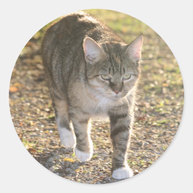 Brin Runder Aufkleber (Vorderseite)