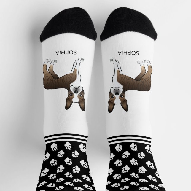 Brindle Boston Terrier mit Namen und Pasten Socken (Oben)