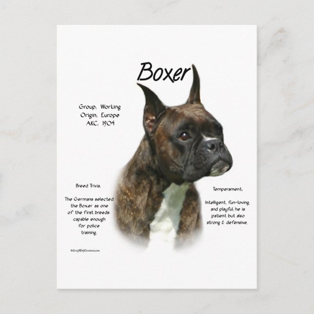Brindle Boxer History Postkarte (Vorderseite)