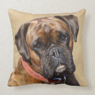Brindle Boxer-Hund Kissen