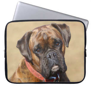 Brindle Boxer-Hund Laptopschutzhülle