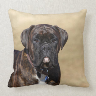 Brindle Boxer-Hund stehend Kissen