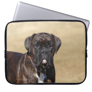 Brindle Boxer-Hund stehend Laptopschutzhülle