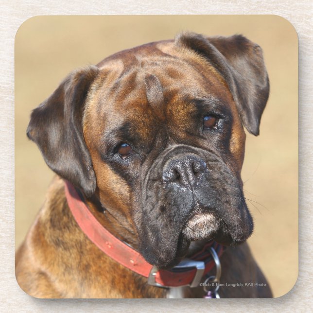 Brindle Boxer-Hund Untersetzer (Vorderseite)