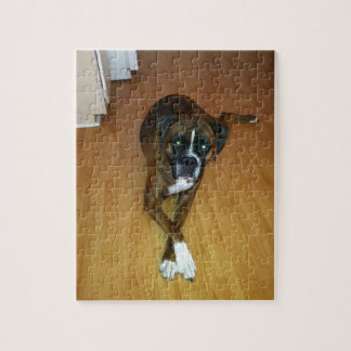 Brindle Boxer-HundeFoto-Puzzlespiel