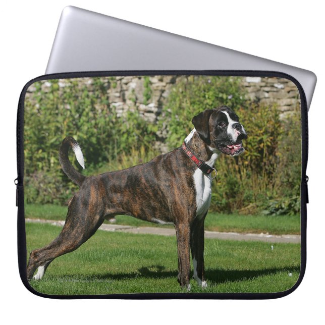 Brindle Boxer-Hundeshow-Position Laptopschutzhülle (Vorderseite)