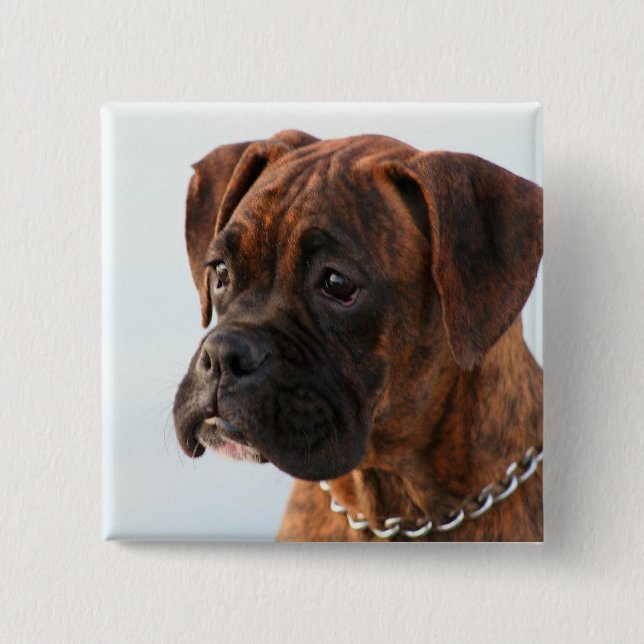 Brindle Boxerwelpenknopf Button (Vorderseite)