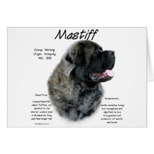 Brindle Fluffy Mastiff History