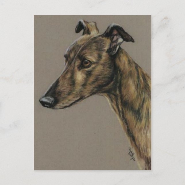 "Brindle Greyhound" Hund Art Postkarte (Vorderseite)