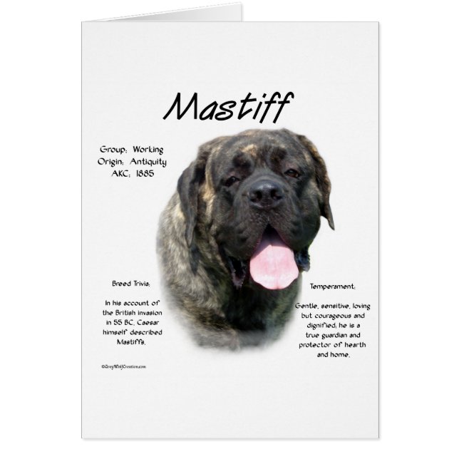 Brindle Mastiff (Devant)