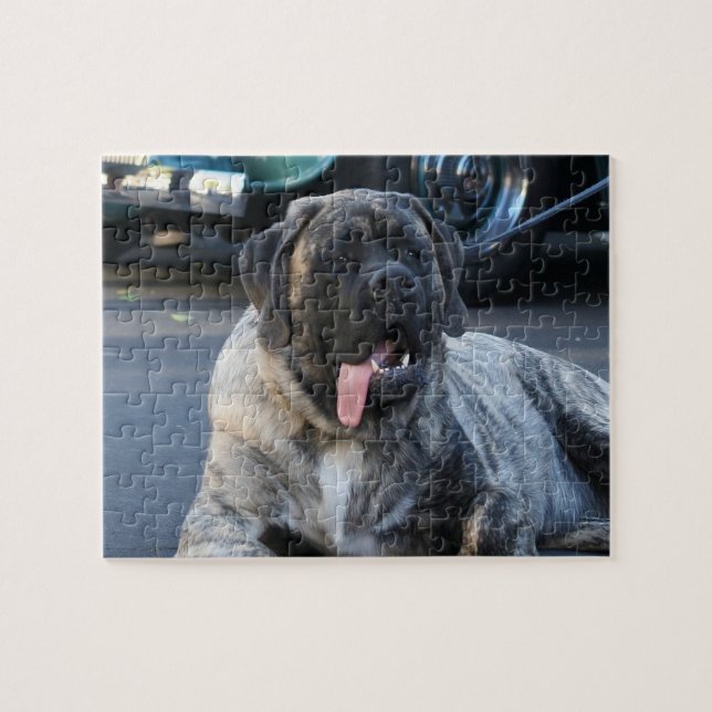 Brindle Mastiff Dog (Horizontal)