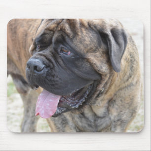 Brindle Mastiff Mousepad