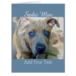 Brindle Pit Bull Puppy von Shirley Taylor