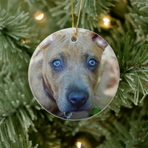 Brindle Pit Bull Puppy von Shirley Taylor Keramikornament