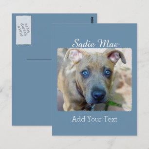 Brindle Pit Bull Puppy von Shirley Taylor Postkarte