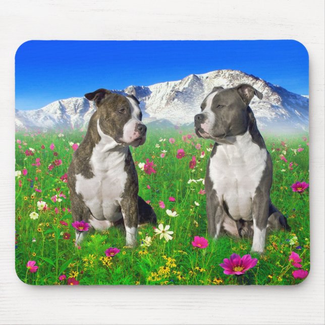 Brindle u. blaue Staffordshire- u. Pitbull-Hunde Mousepad (Vorne)